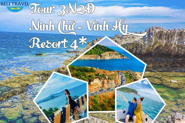 Tour Du lịch Ninh Chữ - Vĩnh Hy 3N2Đ - Beli Travel