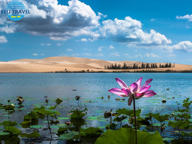 Bàu Trắng Bàu Sen Phan Thiết