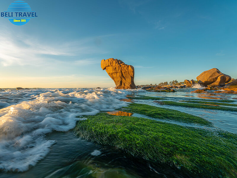 Biển Cổ Thạch Phan Thiết